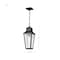 Nuvo Lawrence - 1 Light Hanging Lantern - Matte Black with Clear Seeded Glass 60/8135 - alternate 5